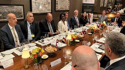 وزير الخارجية يلتقي أعضاء مجلس الأعمال للتفاهم الدولي