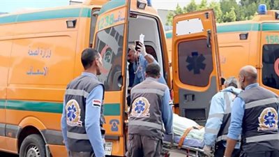 الاستعلام الصحي عن ربة منزل وطفلها صدمتهما سيارة أثناء عبور الطريق بشبين القناطر