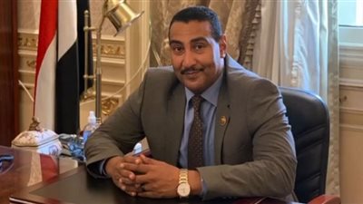 طاقة النواب: قرارا البرلمان الأوروبي بشأن مصر يعتمد على أكاذيب