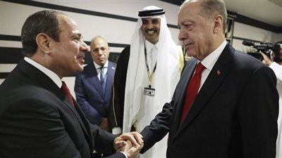 مصافحة الرئيس السيسي وأردوغان صفعة مدوية للإخوان.. فيديو