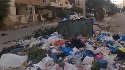 العثور على طفل بصندوق قمامة في المرج.. كشفها نباح كلاب