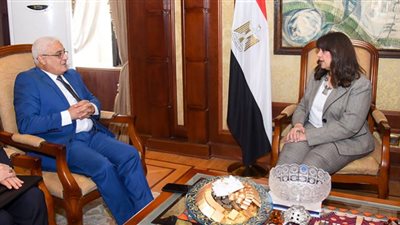 نحتاج الترويج لآليات التأمين والحصول على المعاشات للمصريين بالخارج