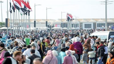 الكتاب الورقى يسترد عرشه