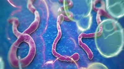 أوغندا تُعلن تفشي جائحة خطيرة تفوق كورونا