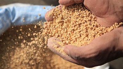 الجلوتين يصل لـ 500 جنيه.. أسعار الأعلاف عقب الارتفاع الأخير اليوم الخميس