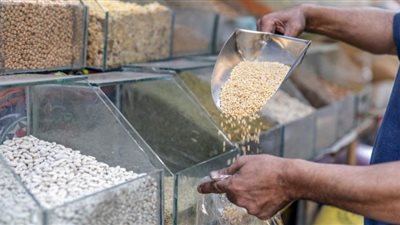 تنطلق غدًا.. نقيب الفلاحين يكشف أهمية إطلاق بورصة مصرية للسلع