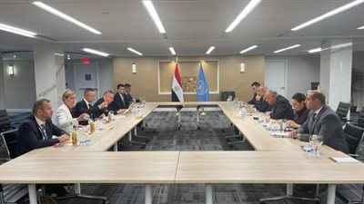 وزير الخارجية يستعرض مع نظيره المالي التجربة المصرية في مواجهة الإرهاب