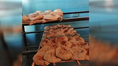 ضبط مخابز يقوم بإثبات مبيعات خبز وهمية بقصد التربح غير المشروع بقنا