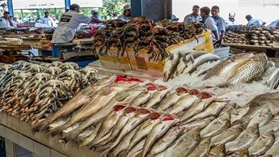 أسعار الأسماك اليوم.. البوري بـ80 جنيها