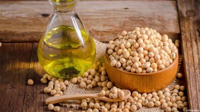 أسعار زيت الطعام اليوم الخميس