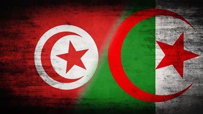 الجزائر تُؤكد أهمية تعزيز التعاون مع تونس