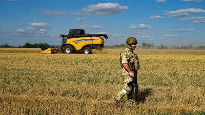 أوكرانيا تطلق حملة لمساعدة الدول الإفريقية بالحبوب.. فاقد الشيء لا يعطيه