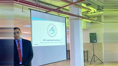 خدمات التأمين على المصريين في الخارج
