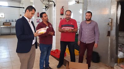 ضبط 2طن دجاج غير صالحة للاستهلاك الادمى فى حملة تموينية بالدقهلية