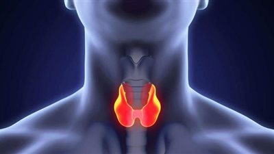 طبيب يكشف مخاطر الغدة الدرقية