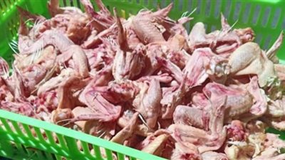 ضبط 3.6 طن دواجن مجهولة المصدر في الجيزة