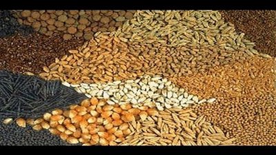 سقوط صاحب مصنع لخلط وتجارة الأعلاف الحيوانية بالمنوفية