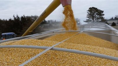 تراجع كبير بصادرات أوكرانيا من الحبوب2022