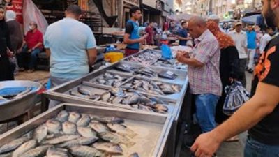 الجمبري بـ380 جنيهًا.. أسعار الأسماك بالأسواق اليوم الجمعة