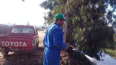 صحة الشرقية: استمرار النشاط المكثف لمكافحة الذباب وناقلات الأمراض