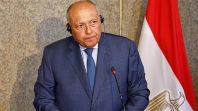 شكري يناقش مع وزير خارجية روسيا تطورات الأزمة الأوكرانية