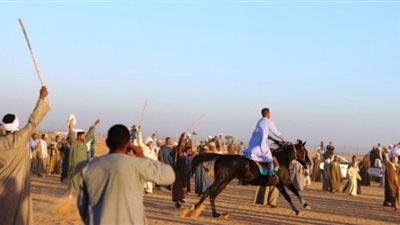 تفاصيل أكبر مرماح للخيول بصعيد مصر