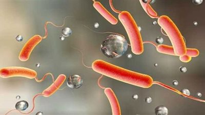 الكوليرا.. مرض اختفى من مصر وأصاب الدول العربية