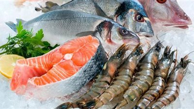 المكرونة السويسي بـ 62 جنيهًا.. أسعار الأسماك صباح اليوم السبت