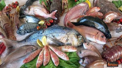 أسعار الأسماك اليوم الإثنين في مصر