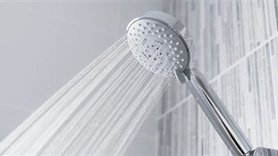 وزيرة سويسرية تطالب المواطنين بالاستحمام معًا لتوفير الطاقة (شاهد)