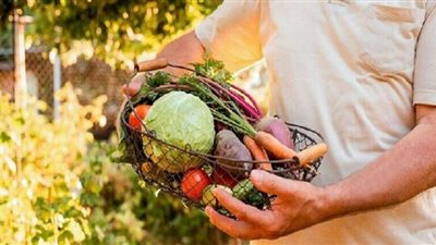 أفضل المواد الغذائية لتعزيز المناعة