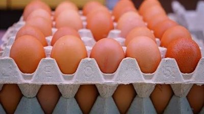 أسعار البيض اليوم الإثنين في مصر