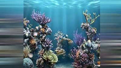 محيطات العالم في 