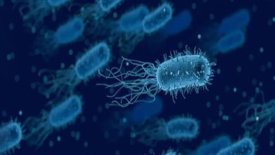 تطوير علاج رائد لمحاربة البكتيريا المقاومة للأدوية