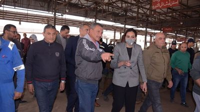 نائب محافظ البحيرة تتحقق من اشتراطات الأمن والسلامة بمصنع الغاز فى كفر الدوار