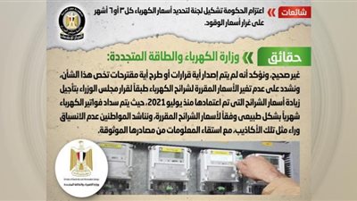 اعتزام الحكومة تشكيل لجنة لتحديد أسعار الكهرباء كل ٣ أو ٦ شهور