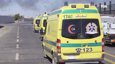 حبس المتهم بإنهاء حياة أمه في عين شمس