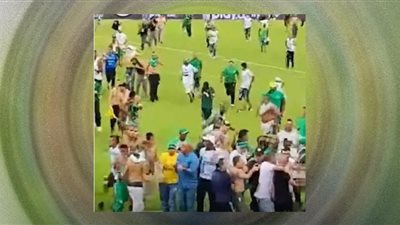 الجمهور يقتحم الملعب ويعتدي على اللاعبين (فيديو)