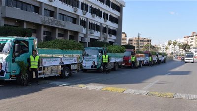 الإسماعيلية تتسلم الدفعة الثانية من أشجار المبادرة الرئاسية ١٠٠ مليون شجرة