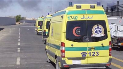 جهود مكثفة لكشف غموض العثور على شخص مجهول الهوية في بحر شبين بالمحلة