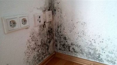 مخاطر عفن المنزل على صحة الإنسان