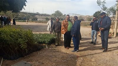 زراعة 5475 شجرة مثمرة بسفاجا ضمن مبادرة 100مليون شجرة