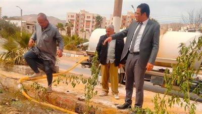 زراعة 3050 شجرة جديدة بحي الكوثر في سوهاج