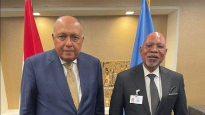 وزير الخارجية يناقش ملف سد النهضة مع نظيره الأوغندي