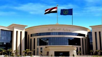 سقوط 125 بلطجيًا في حملة أمنية