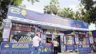 بتخفيضات 30%.. أسعار اللحوم بمنافذ الزراعة