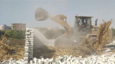 بنى سويف: إزالة 294 حالةفى حملات المرحلة الثانية من الموجة الـــ 20 لإزالة التعديات