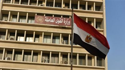 خدمات قدَّمتها مديريات القوى العاملة بالمنوفية وكفر الشيخ والمنيا خلال يناير(إنفوجراف)