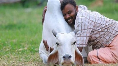 الهند تستبدل عيد الحب بـ 