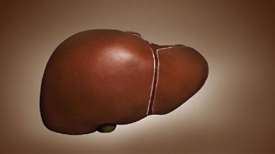 باحثون يكتشفون الأسباب الرئيسية لمرض الكبد الدهني غير الكحولي